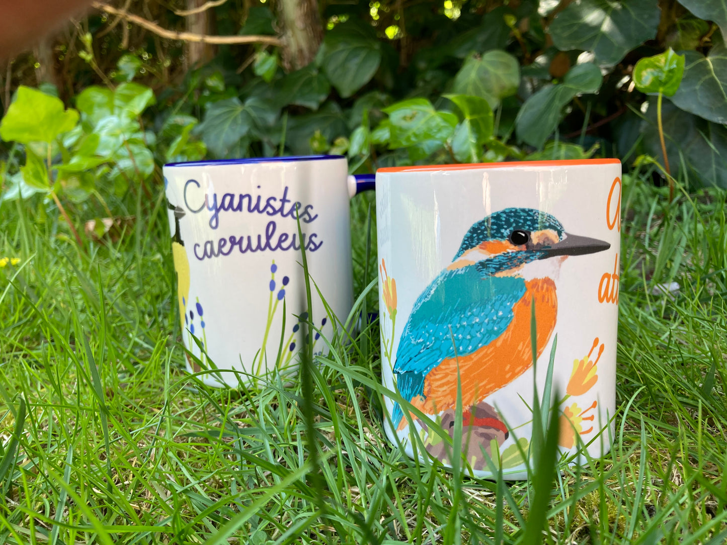 Taza de desayuno naranja, modelo Martín pescador.