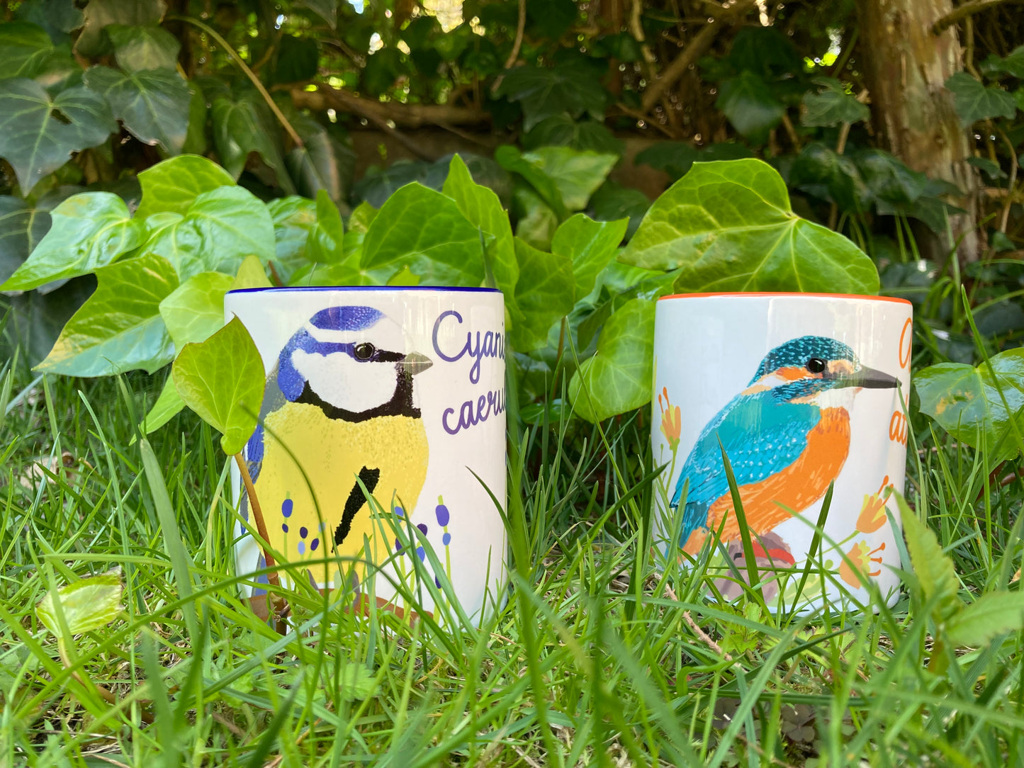 Taza de desayuno marino, modelo Herrerillo.