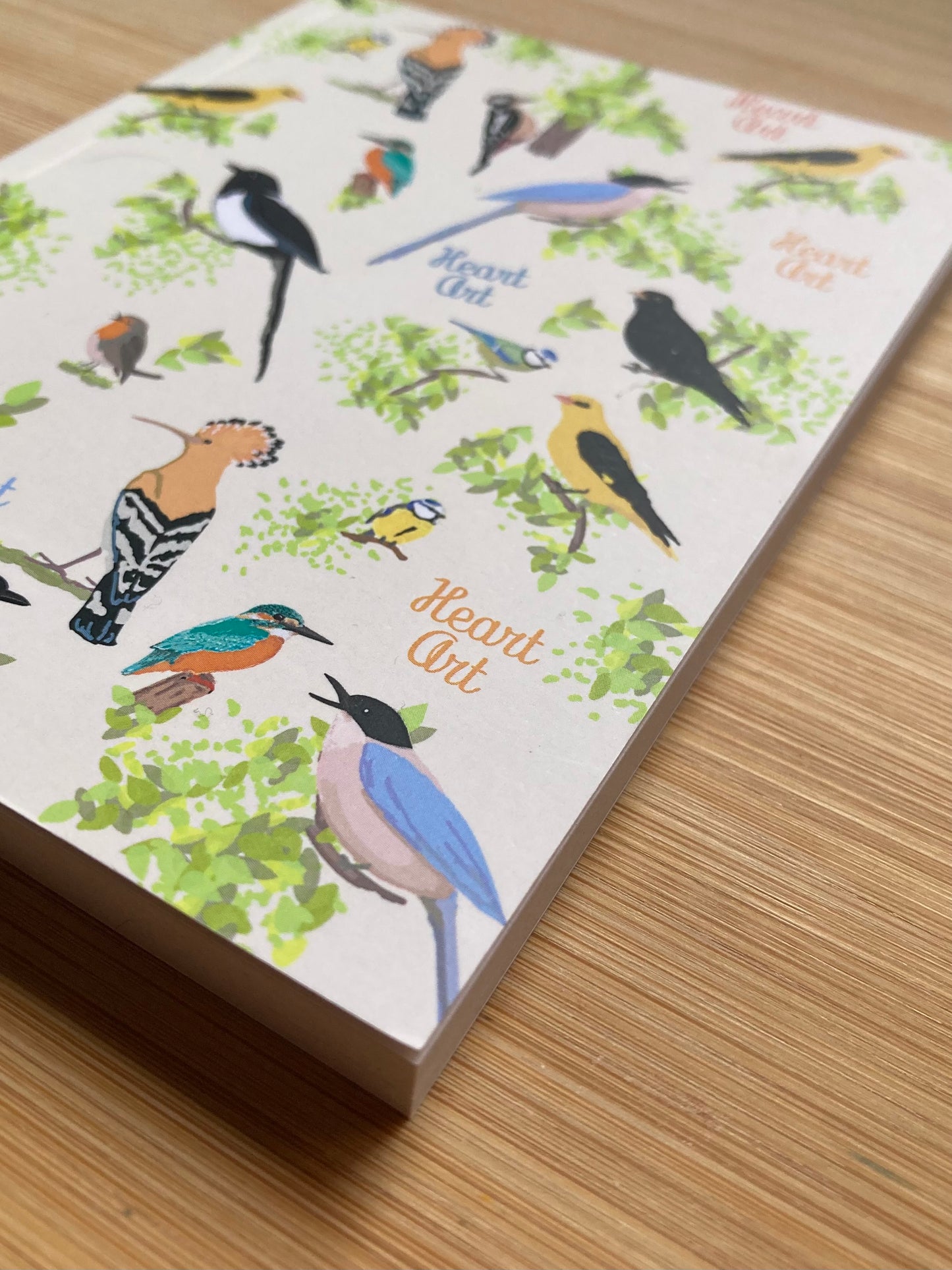 Cuaderno de papel reciclado modelo Pájaros, tamaño A6 (bolsillo)