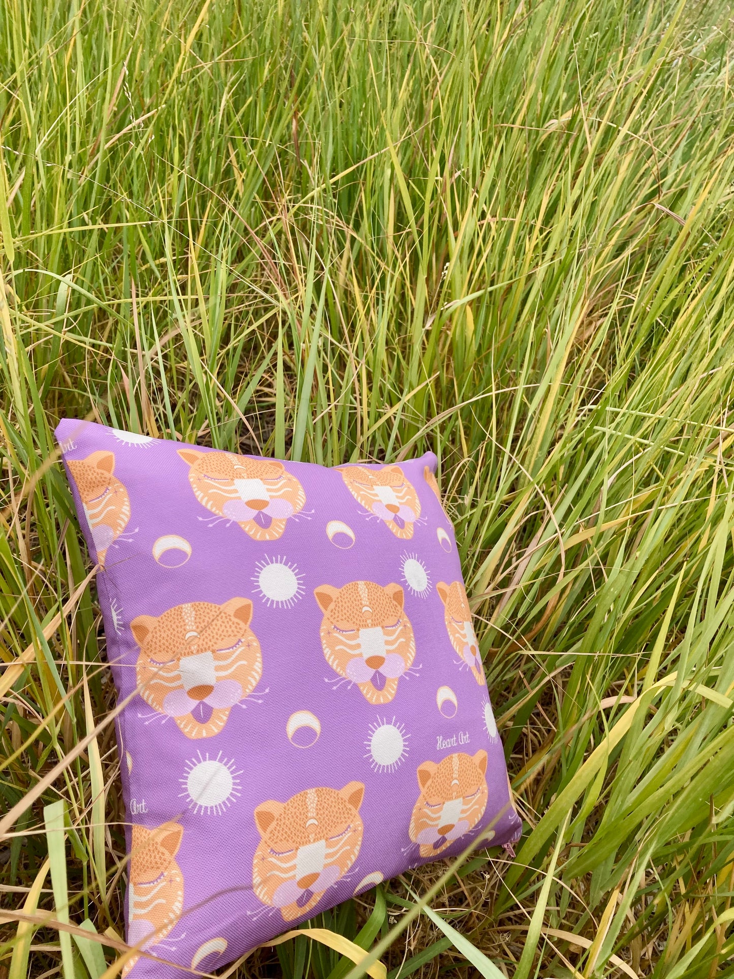 Cojín modelo Alebrije.